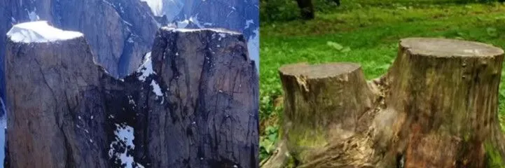 Δεν υπάρχουν δάση στην Γη (εικόνα 30)